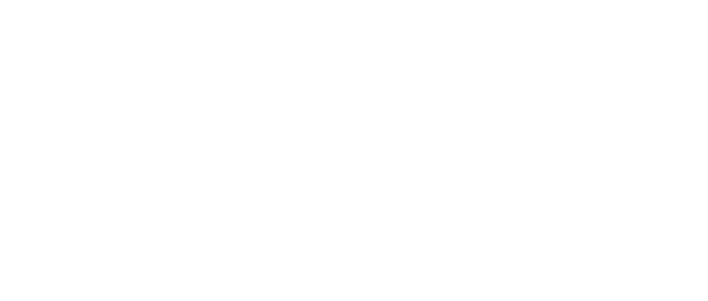 logo boutique spicy blanc